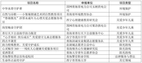 天津创新志愿服务项目获全国赛青睐 策划与公关服务的成功密码
